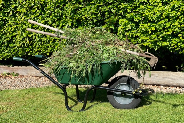 Environmentally Friendly Ways of Weeds Control